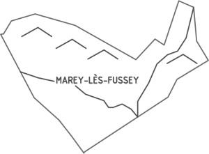 Marey-lès-Fussey_Piece Button