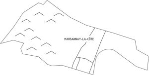 Marsannay-la-Côte_Piece Button