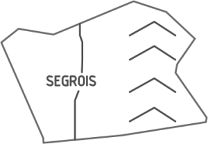 Segrois_Piece Button