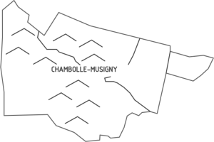Chambolle-Musigny_Piece Button